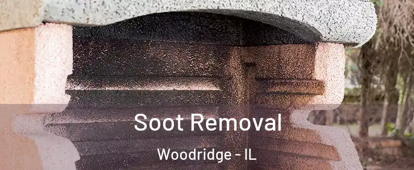 Soot Removal Woodridge - IL